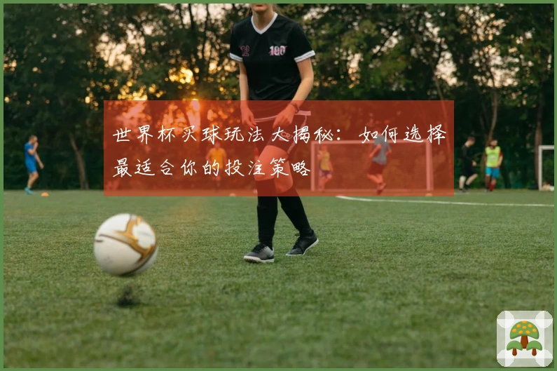 世界杯买球玩法大揭秘：如何选择最适合你的投注策略