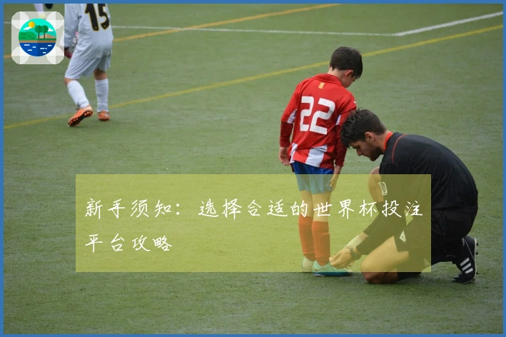 新手须知：选择合适的世界杯投注平台攻略