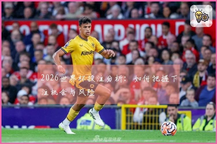 2026世界杯投注分析：如何把握下注机会与风险
