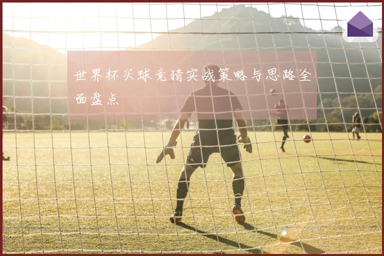 世界杯买球竞猜实战策略与思路全面盘点