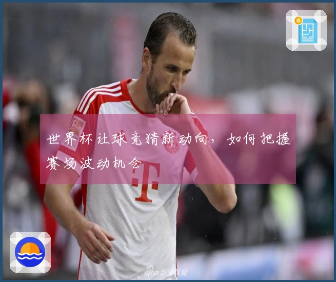 世界杯让球竞猜新动向，如何把握赛场波动机会