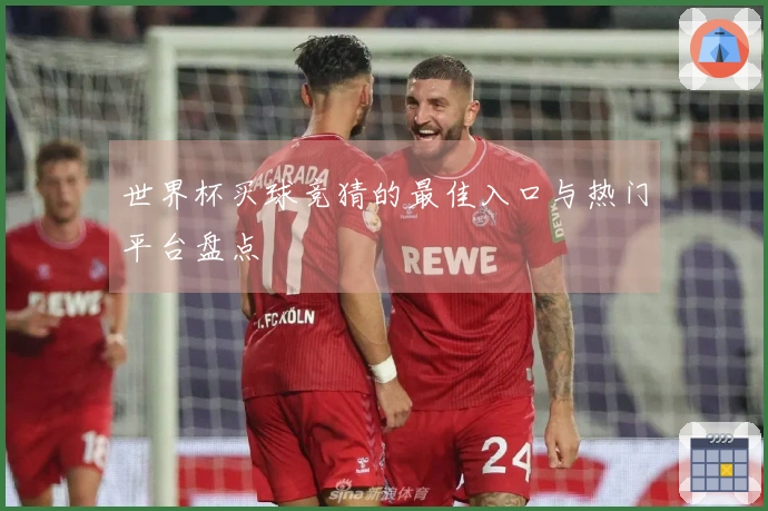 世界杯买球竞猜的最佳入口与热门平台盘点
