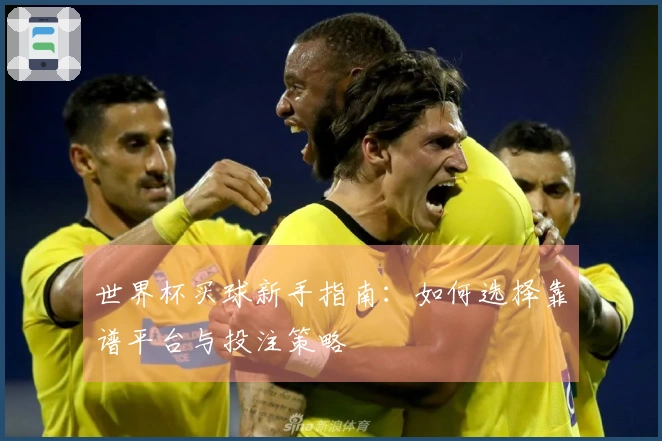 世界杯买球新手指南：如何选择靠谱平台与投注策略