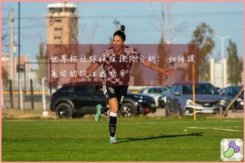 世界杯让球投注技巧分析：如何提高你的投注成功率