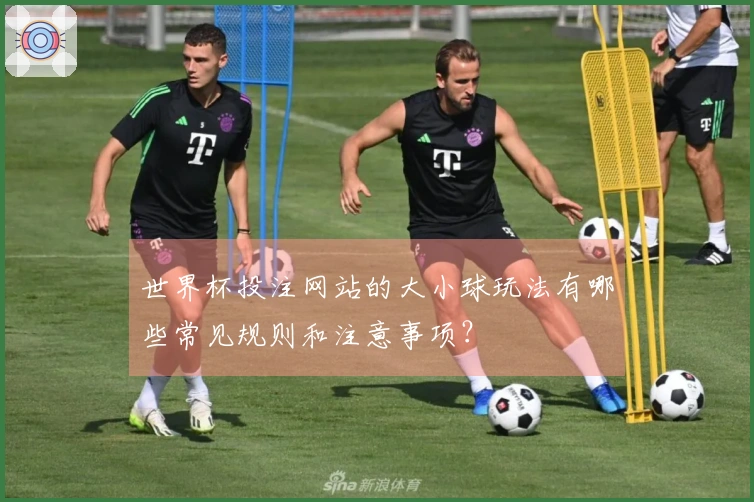 世界杯投注网站的大小球玩法有哪些常见规则和注意事项？