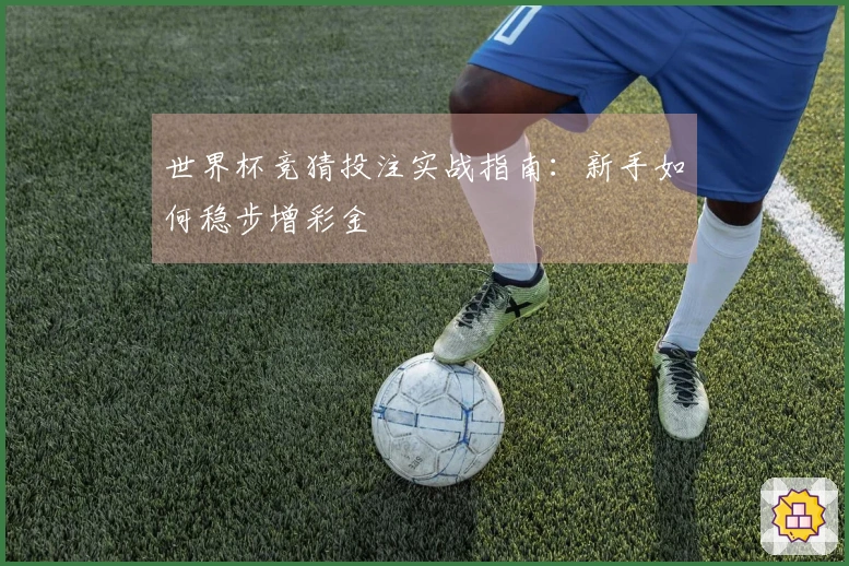 世界杯竞猜投注实战指南：新手如何稳步增彩金