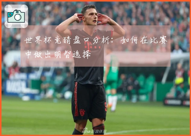 世界杯竞猜盘口分析：如何在比赛中做出明智选择