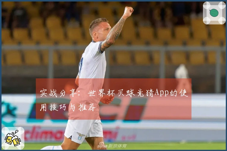 实战分享：世界杯买球竞猜App的使用技巧与推荐