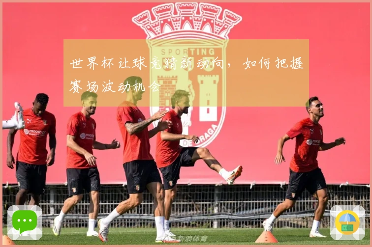世界杯让球竞猜新动向，如何把握赛场波动机会