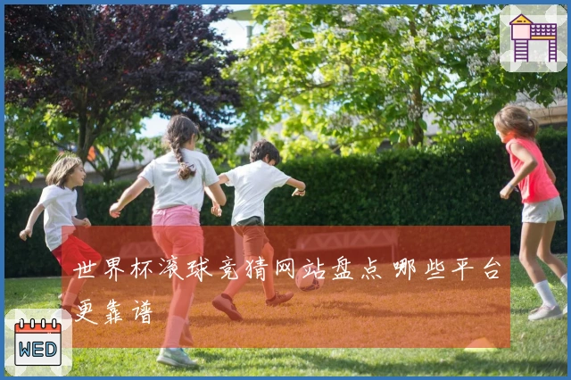 世界杯滚球竞猜网站盘点 哪些平台更靠谱