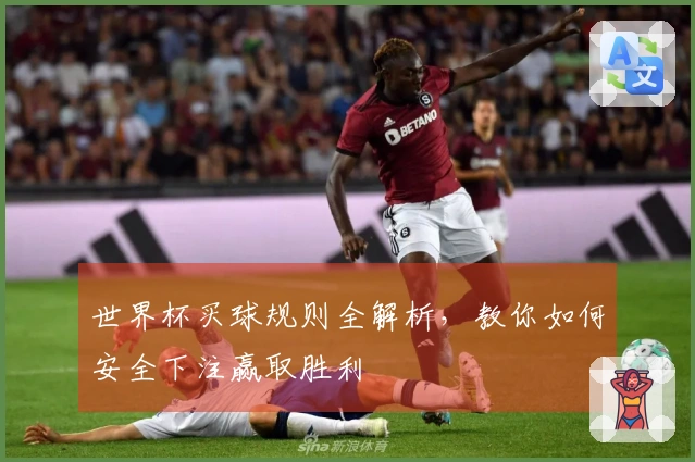 世界杯买球规则全解析，教你如何安全下注赢取胜利