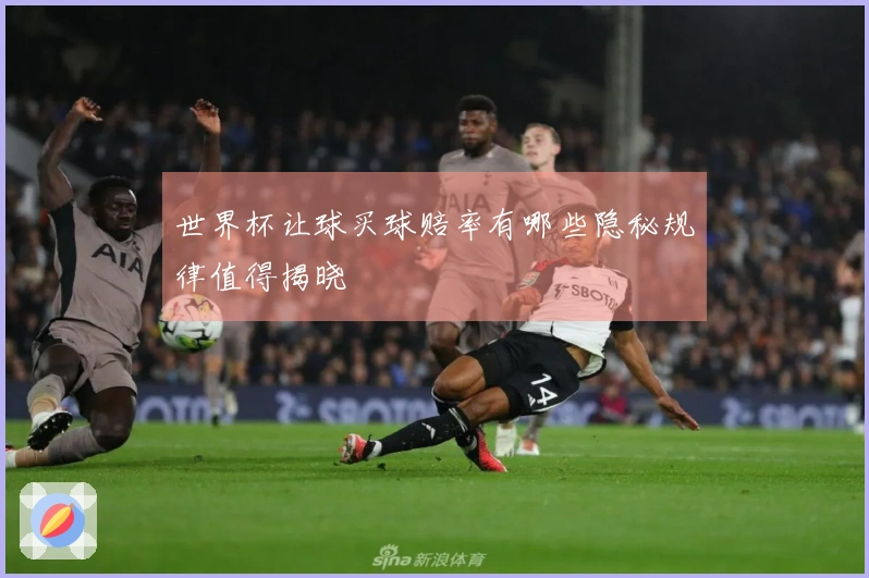 世界杯让球买球赔率有哪些隐秘规律值得揭晓