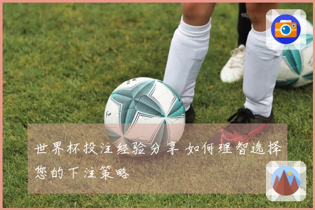 世界杯投注经验分享 如何理智选择您的下注策略