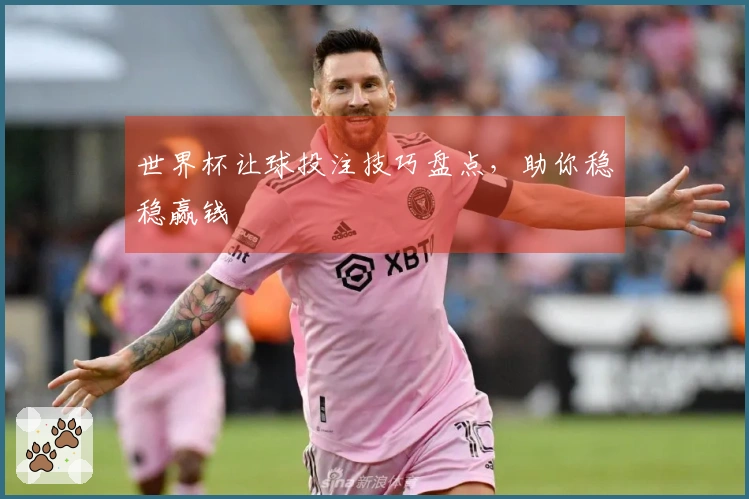 世界杯让球投注技巧盘点，助你稳稳赢钱
