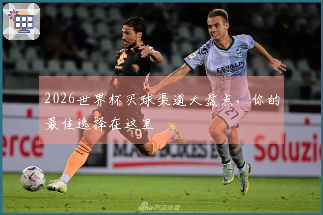 2026世界杯买球渠道大盘点，你的最佳选择在这里