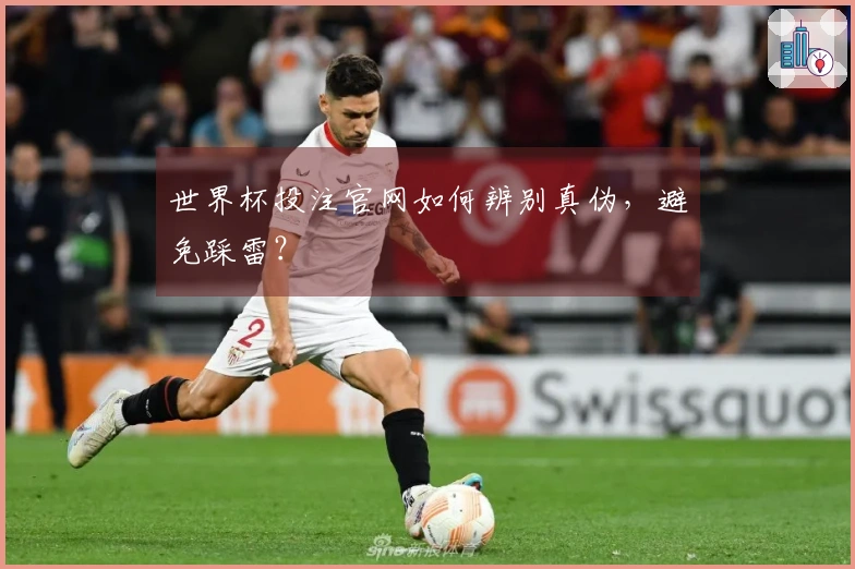 世界杯投注官网如何辨别真伪，避免踩雷？