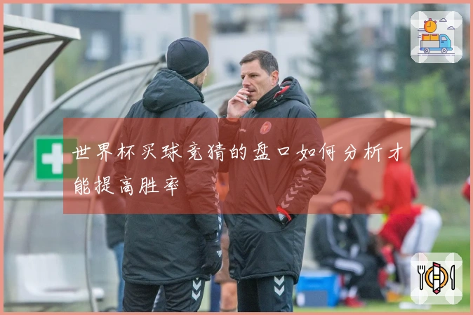 世界杯买球竞猜的盘口如何分析才能提高胜率
