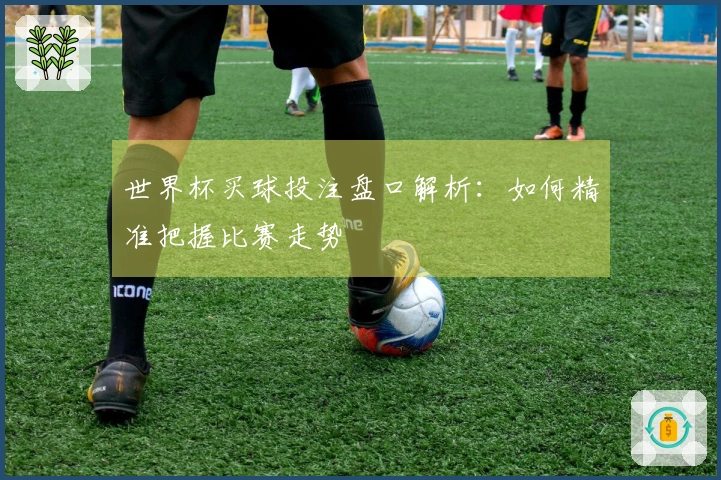 世界杯买球投注盘口解析：如何精准把握比赛走势
