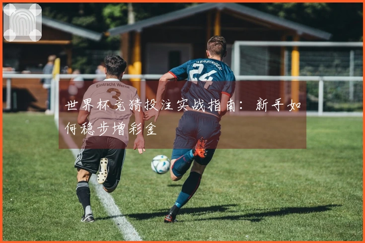 世界杯竞猜投注实战指南：新手如何稳步增彩金