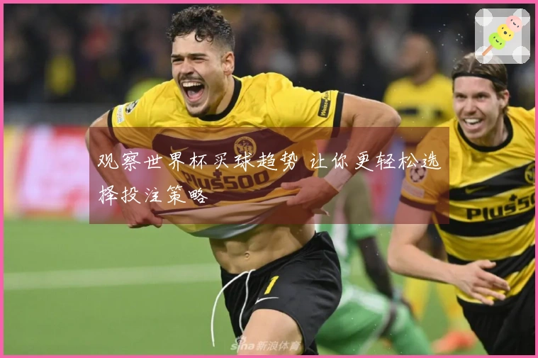 观察世界杯买球趋势 让你更轻松选择投注策略